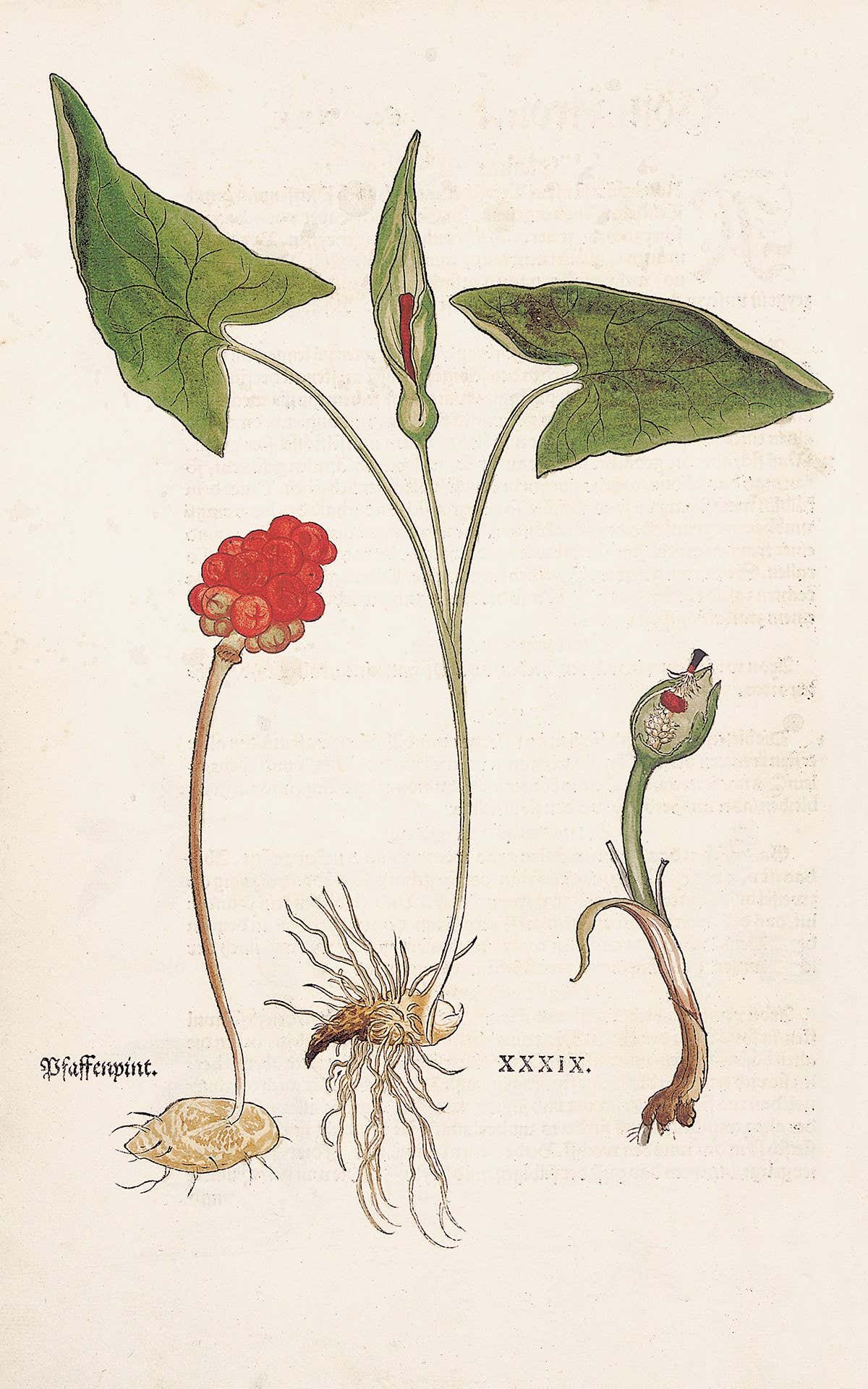 New Scientist. Science news and long reads from expert journalists, covering developments in science, technology, health and the environment on the website and the magazine.