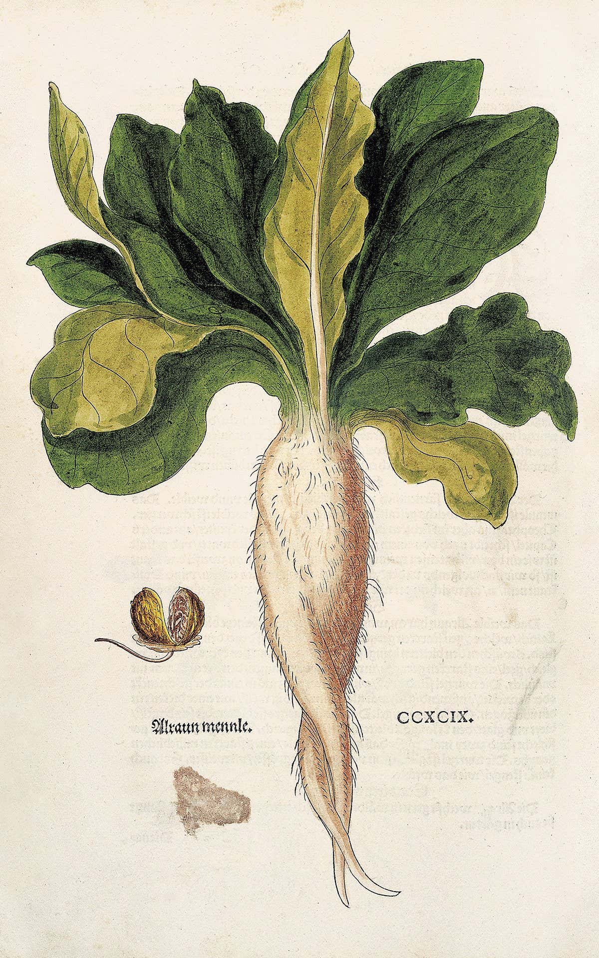 New Scientist. Science news and long reads from expert journalists, covering developments in science, technology, health and the environment on the website and the magazine.