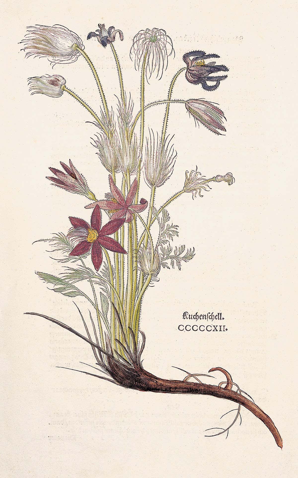 New Scientist. Science news and long reads from expert journalists, covering developments in science, technology, health and the environment on the website and the magazine.