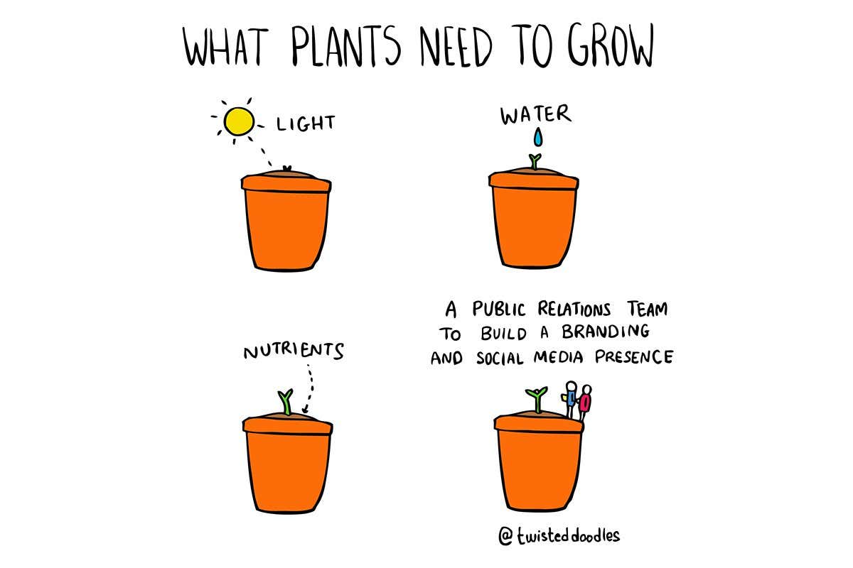 Twisteddoodles: Plants growing in the rich soil of social media