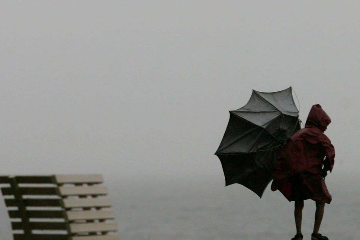 2CNX8TB A boy tries to hold on to an umbrella blown inside out at a seafront off the coast of the Arabian Sea in Mumbai November 11, 2009. A depression in the Arabian Sea has intensified into a cyclonic storm, with heavy rains and gusting winds forecast for Mumbai and other parts of India's west coast, weather officials said on Wednesday. REUTERS/Arko Datta (INDIA ENVIRONMENT SOCIETY IMAGES OF THE DAY)