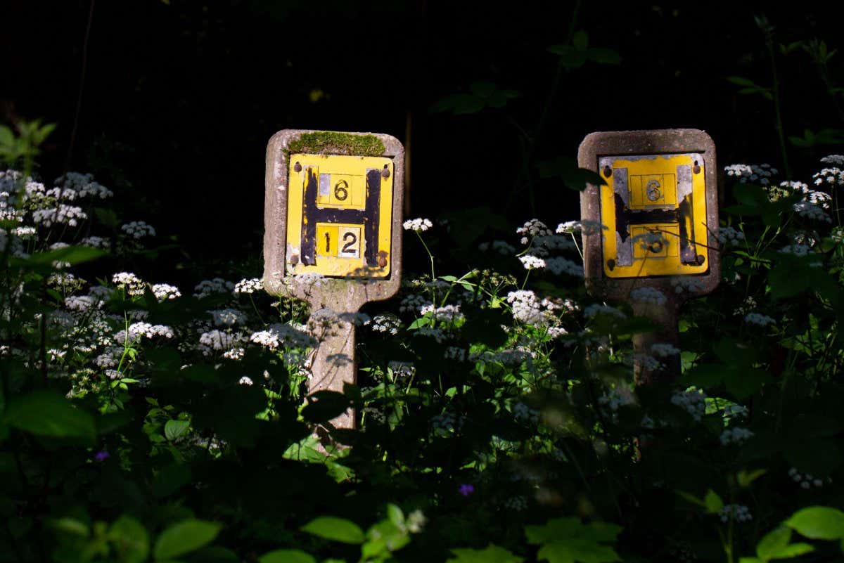 2C46BM3 Close up of two yellow UK fire hydrant H signs showing nearest water supply for fire service, West Yorkshire