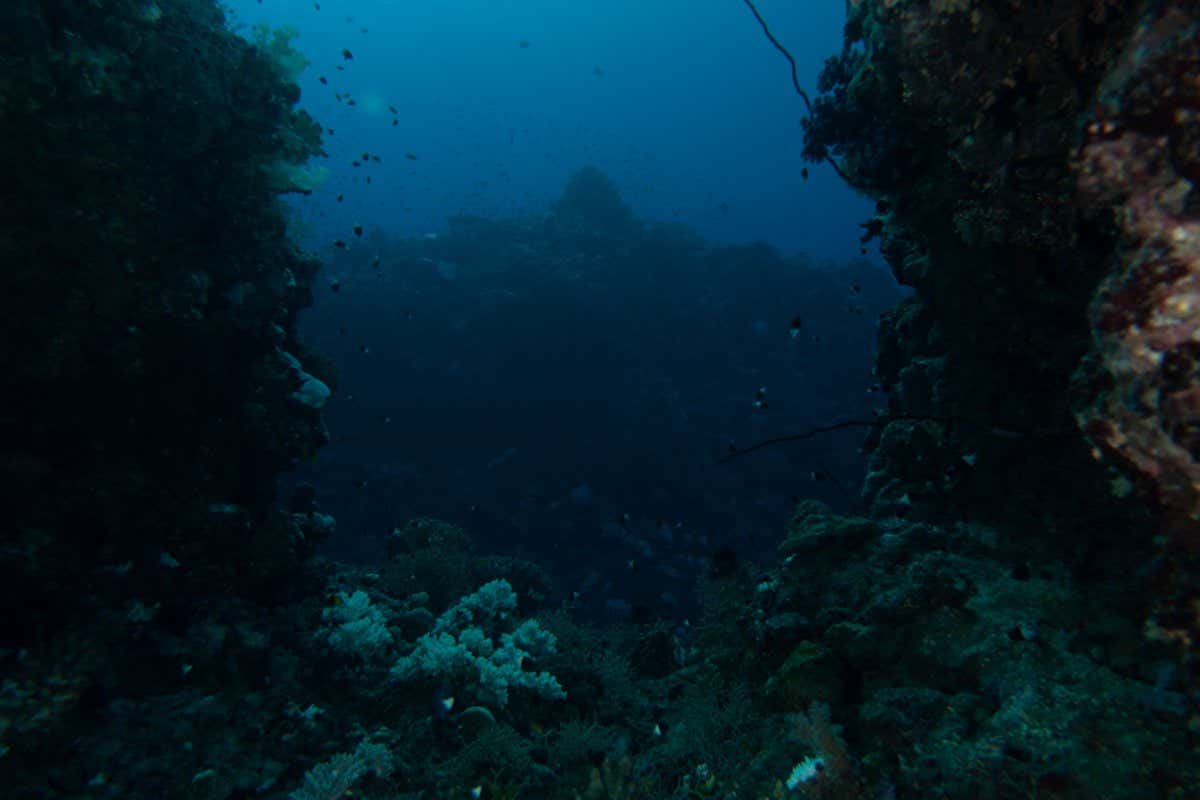 Diving between the reef of the Red Sea into an underwater highway crossing it to another reef in the background