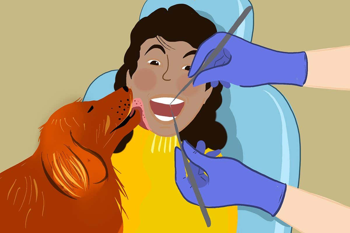 The dentist that wants to calm patients with cuddles from dogs