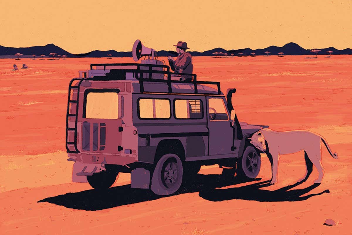 Sorry Darwin, but it turns out promiscuity benefits females too