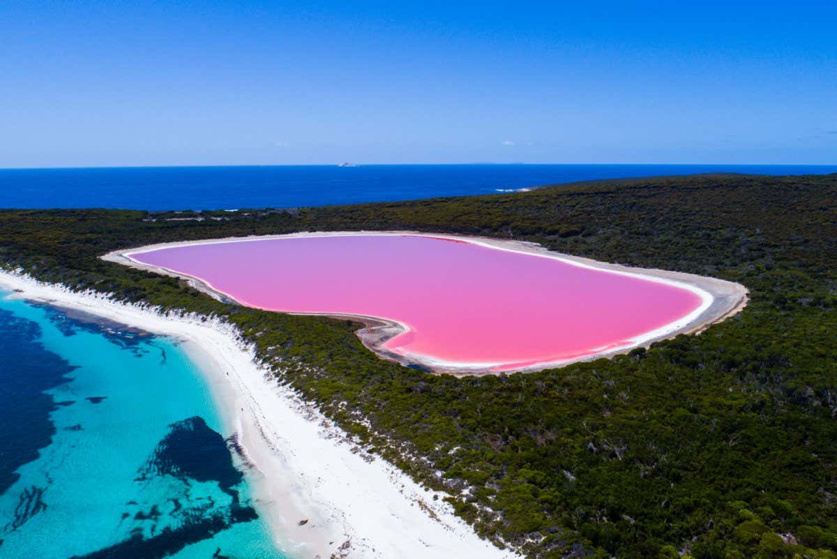 Aerial view of Lake Hillier, Middle Island near Esperance