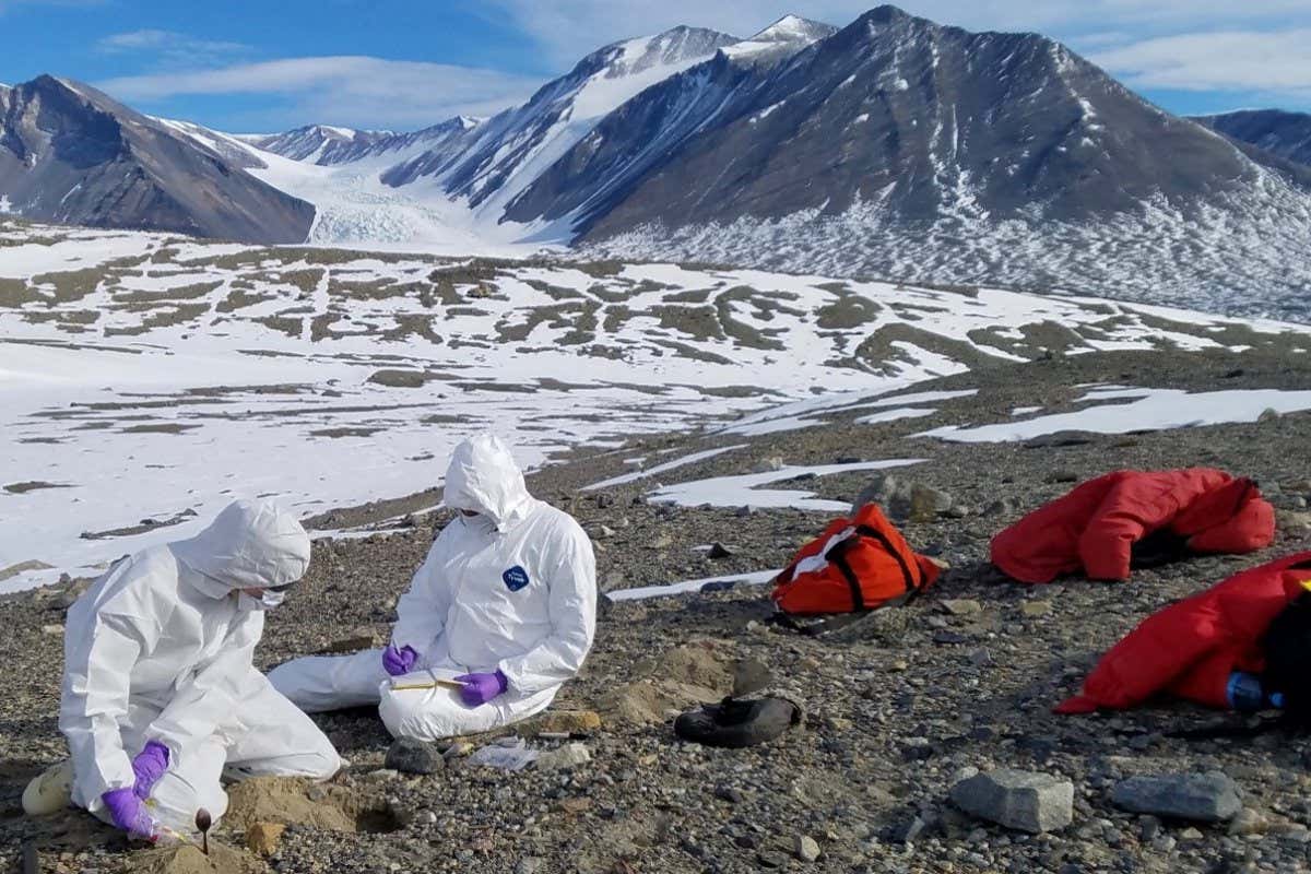 New Scientist. Science news and long reads from expert journalists, covering developments in science, technology, health and the environment on the website and the magazine.