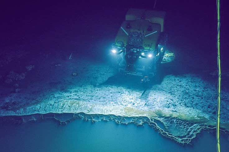 New Scientist. Science news and long reads from expert journalists, covering developments in science, technology, health and the environment on the website and the magazine.