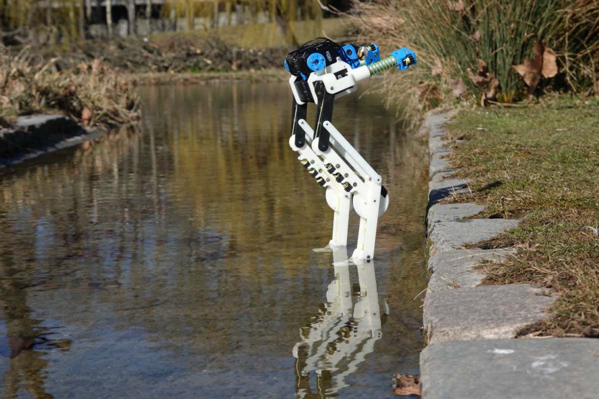 BirdBot's leg mechanics are automatically water proof; all motors are located in the robot's trunk, far away from its feet. Here the mechanics that produce joint torques, tendon forces, and ground contact are water-proof. Theoretically, BirdBot could walk through water (possible future work).