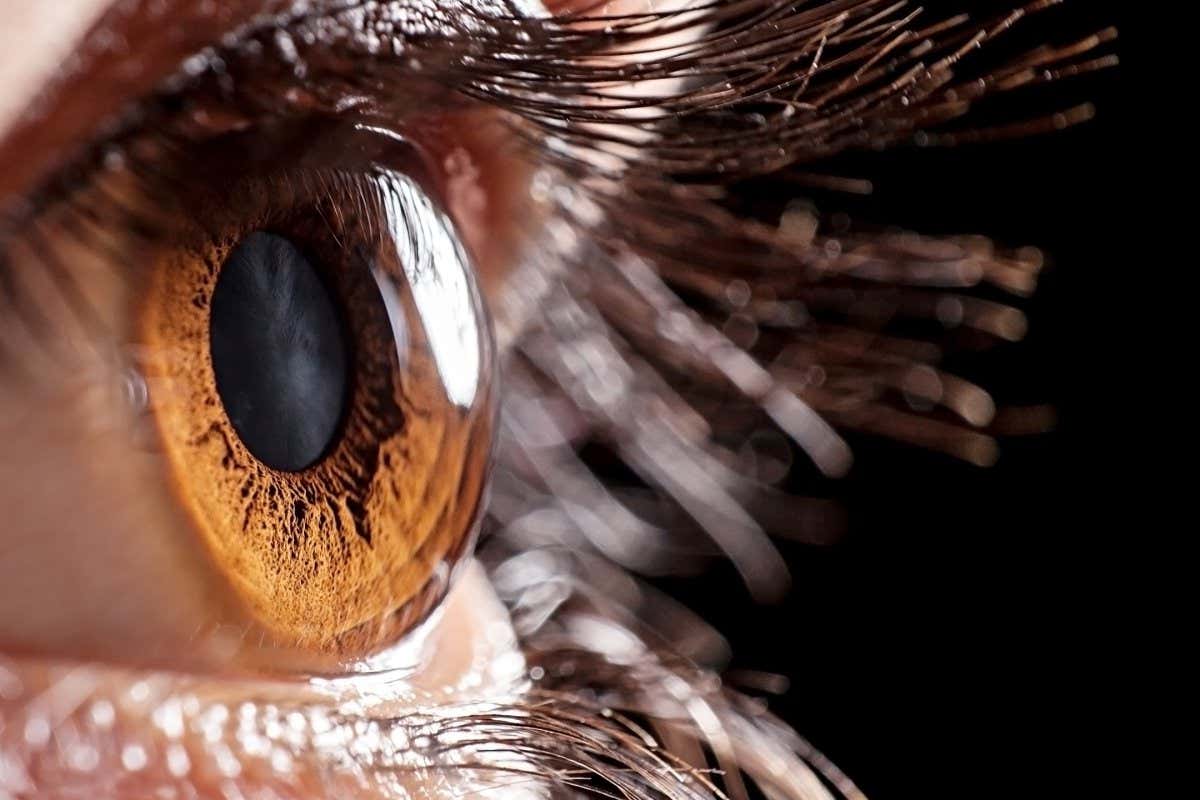 Stock image of an eye