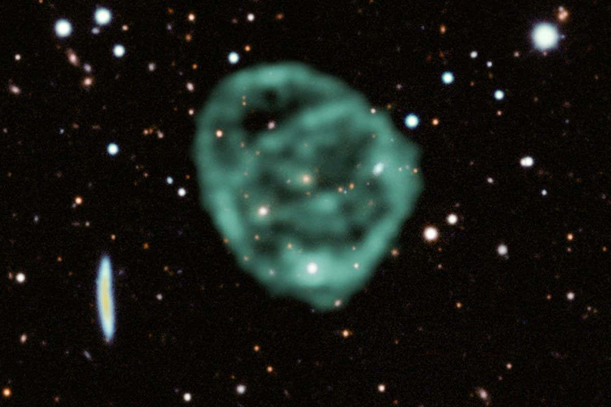 ORC1 image from MeerKAT_Credit J. English, EMU, MeerKAT, DES