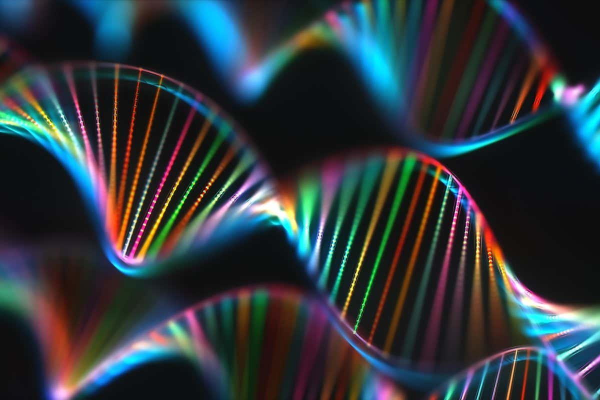 WB2XD6 DNA (deoxyribonucleic acid) molecules, computer illustration.