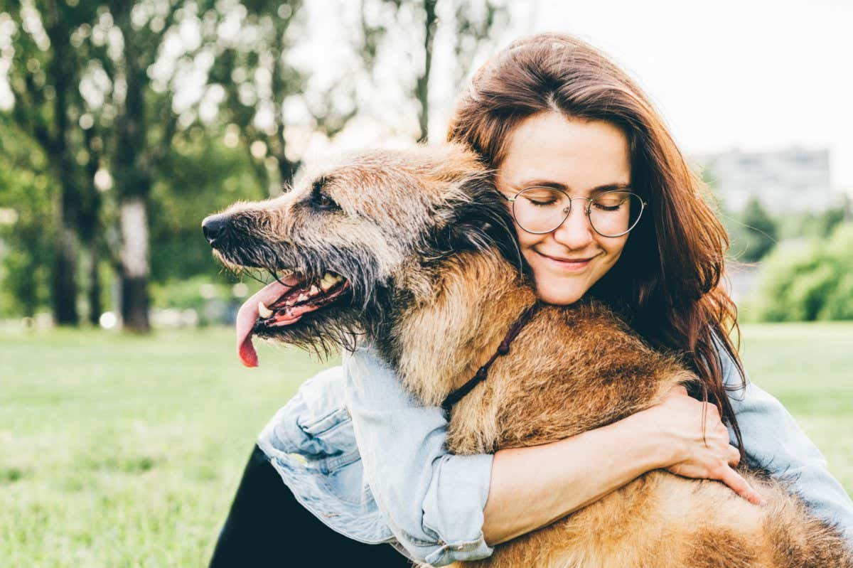 Women hugging dog in the summer park. Cheerful lady with long dark hair in blue jacket hugs and strokes friendly old dog sitting on lush green meadow of public garden on nice day. ; Shutterstock ID 1764631019; purchase_order: -; job: -; client: -; other: -