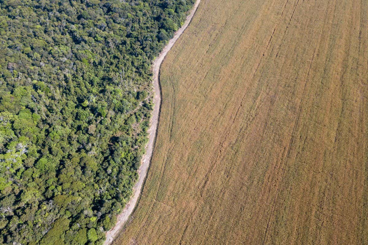Aerial drone view of the Xingu Indigenous Park territory border and large soybean farms in Mato Grosso, the Amazon rainforest, Brazil. Concept of deforestation, agriculture, global warming and environment.; Shutterstock ID 1574596702; purchase_order: -; job: -; client: -; other: -