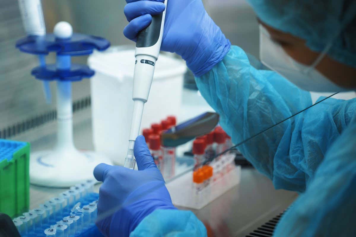 Female biological laboratory researcher working on biomedical experiments. Scientific genetics medical worker pipetting cell culture.. back view Close-up; Shutterstock ID 2035730375; purchase_order: -; job: -; client: -; other: -