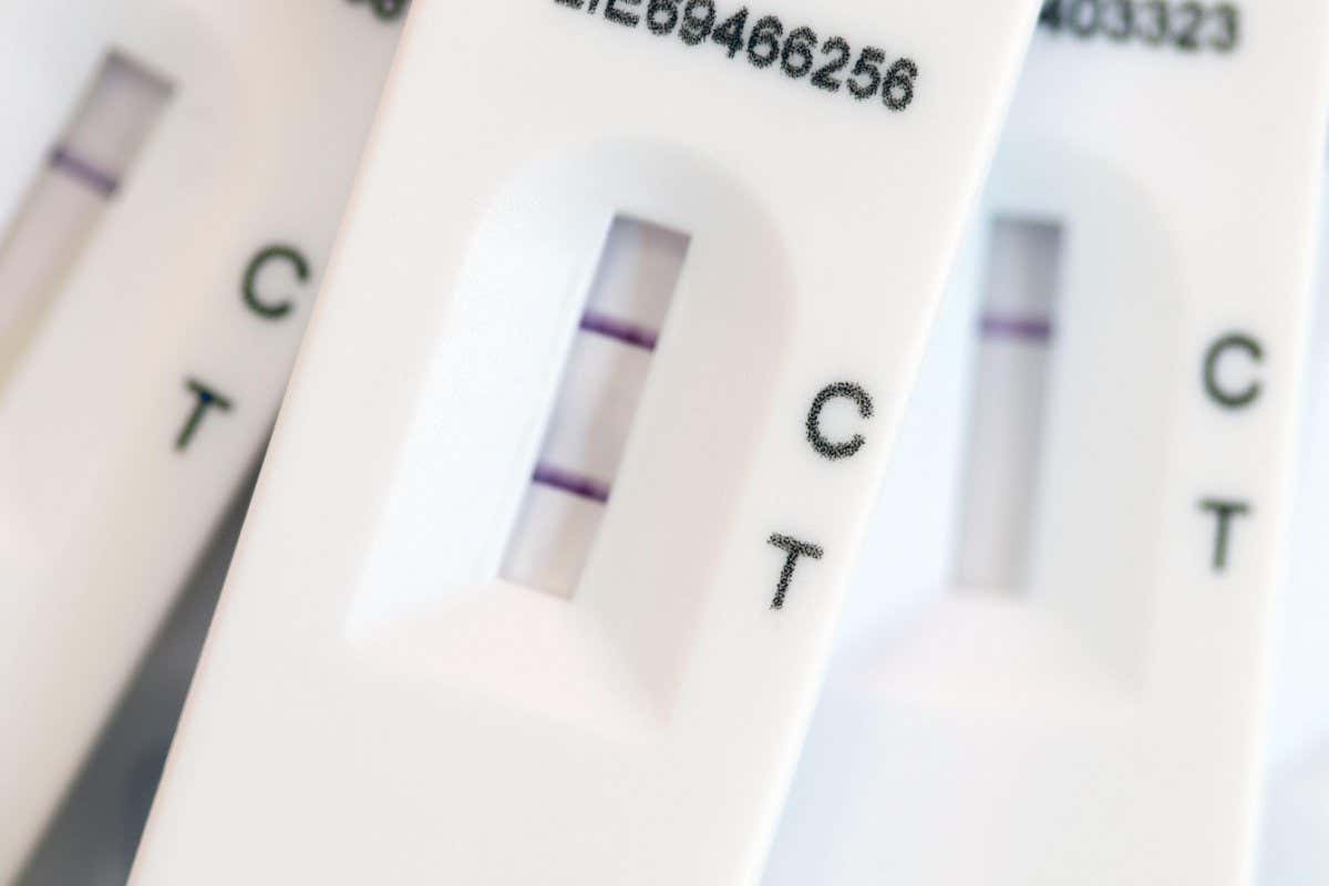 2GN0KYK Lateral flow test strip showing negative Covid 19 test results and a single simulated positive result.
