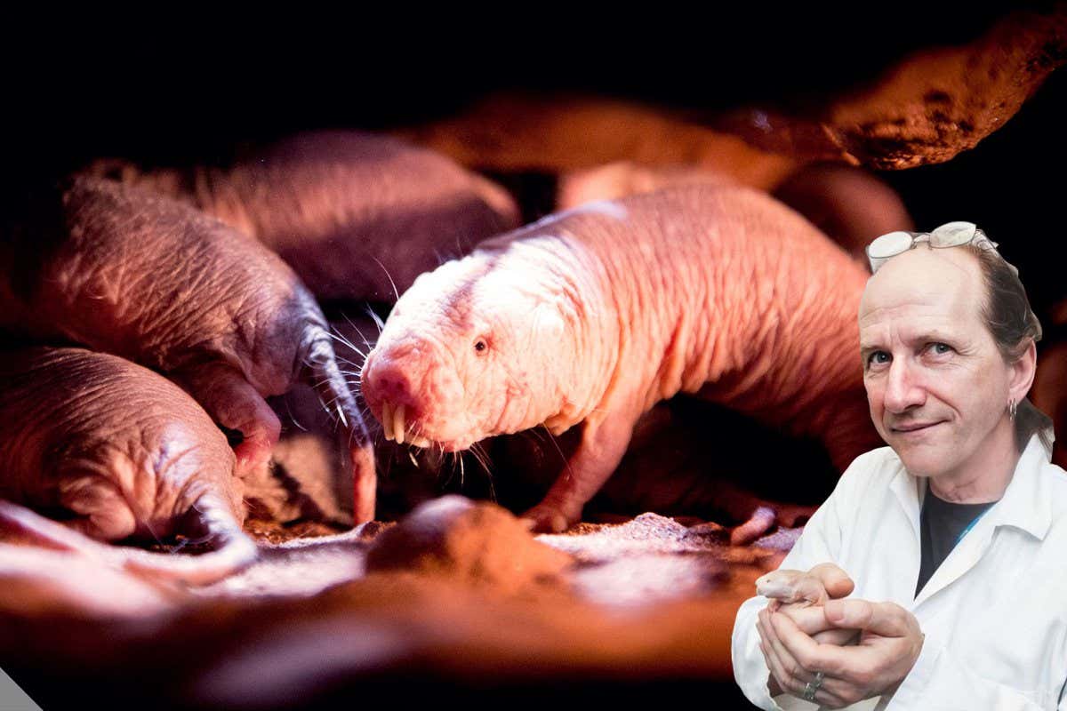 New Scientist. Science news and long reads from expert journalists, covering developments in science, technology, health and the environment on the website and the magazine.