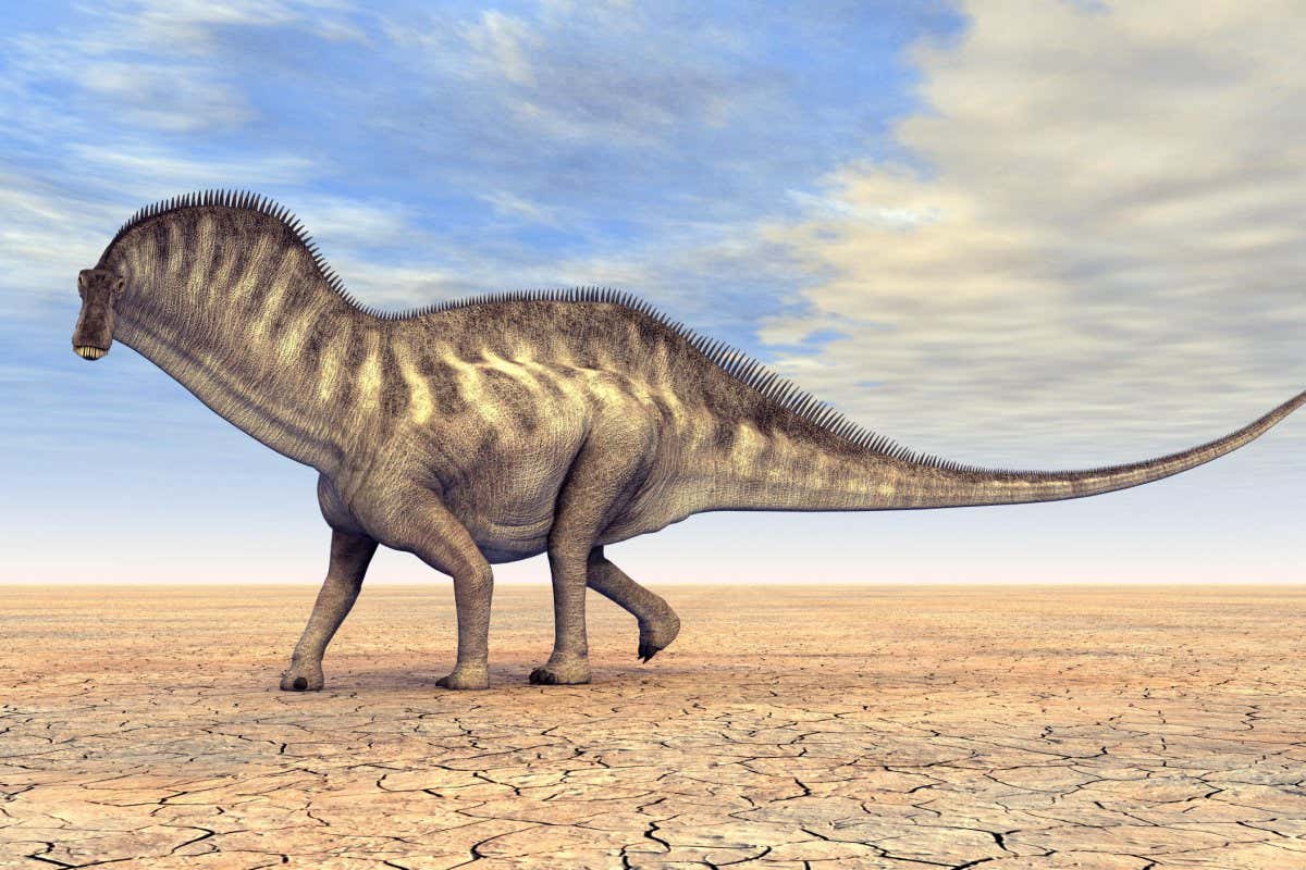 Amargasaurus