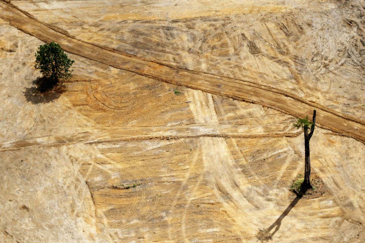 NEAR ALTAMIRA, BRAZIL - JUNE 15: Construction continues at the Belo Monte dam complex in the Amazon basin on June 15, 2012 near Altamira, Brazil. Belo Monte will be the world???s third-largest hydroelectric project and will displace up to 20,000 people while diverting the Xingu River and flooding as much as 230 square miles of rainforest. The controversial project is one of around 60 hydroelectric projects Brazil has planned in the Amazon to generate electricity for its rapidly expanding economy. While environmentalists and indigenous groups oppose the dam, many Brazilians support the project. The Brazilian Amazon, home to 60 percent of the world???s largest forest and 20 percent of the Earth???s oxygen, remains threatened by the rapid development of the country. The area is currently populated by over 20 million people and is challenged by deforestation, agriculture, mining, a governmental dam building spree, illegal land speculation including the occupation of forest reserves and indigenous land and other issues. Over 100 heads of state and tens of thousands of participants and protesters will descend on Rio de Janeiro, Brazil, later this month for the Rio+20 United Nations Conference on Sustainable Development or ???Earth Summit???. Host Brazil is caught up in its own dilemma between accelerated growth and environmental preservation. (Photo by Mario Tama/Getty Images)