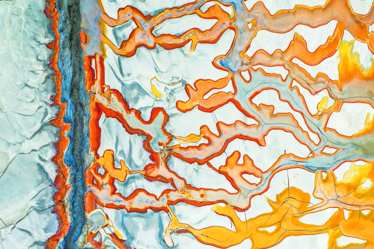 New Scientist. Science news and long reads from expert journalists, covering developments in science, technology, health and the environment on the website and the magazine.