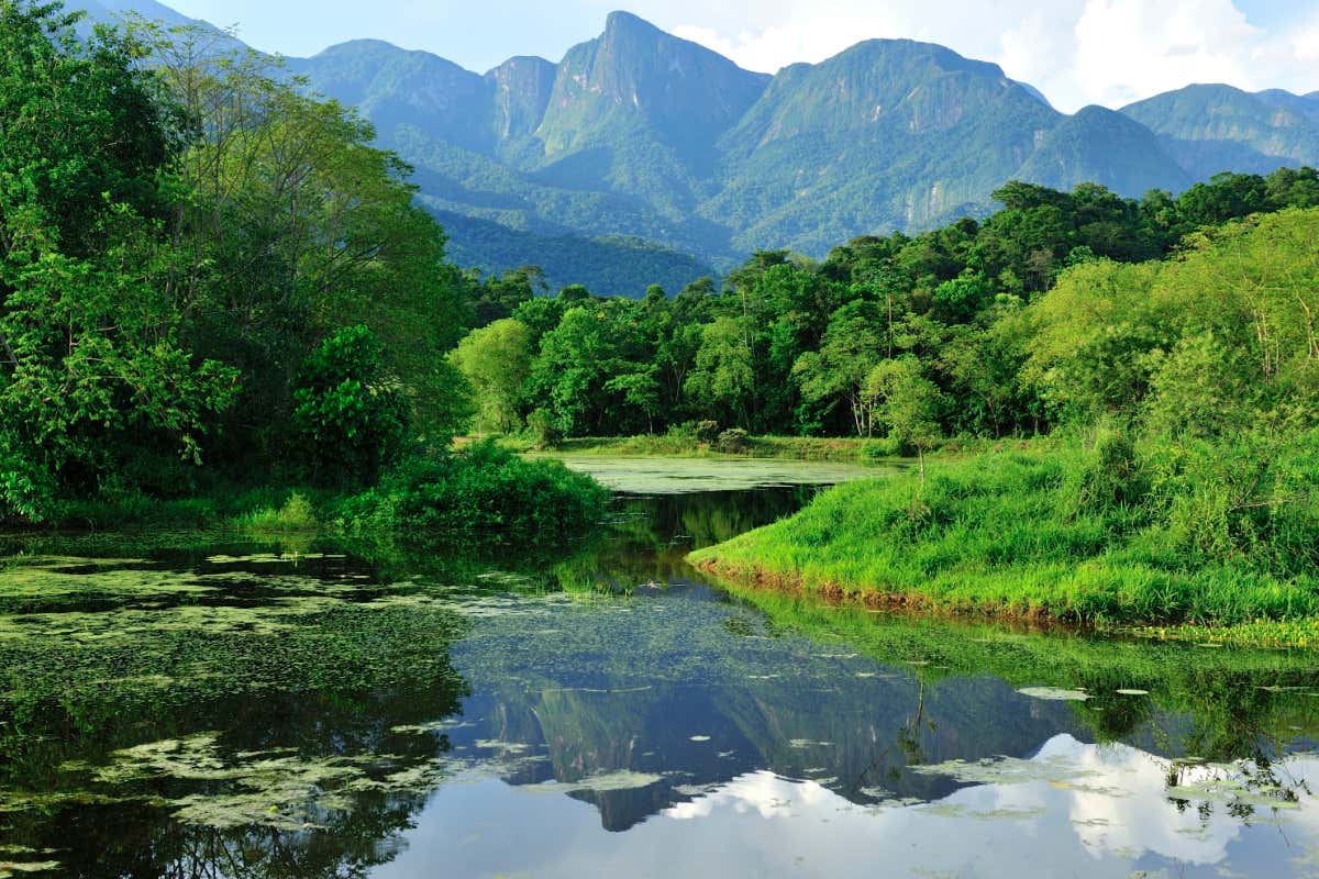 30 by 30: The conservation breakthrough we need to save biodiversity