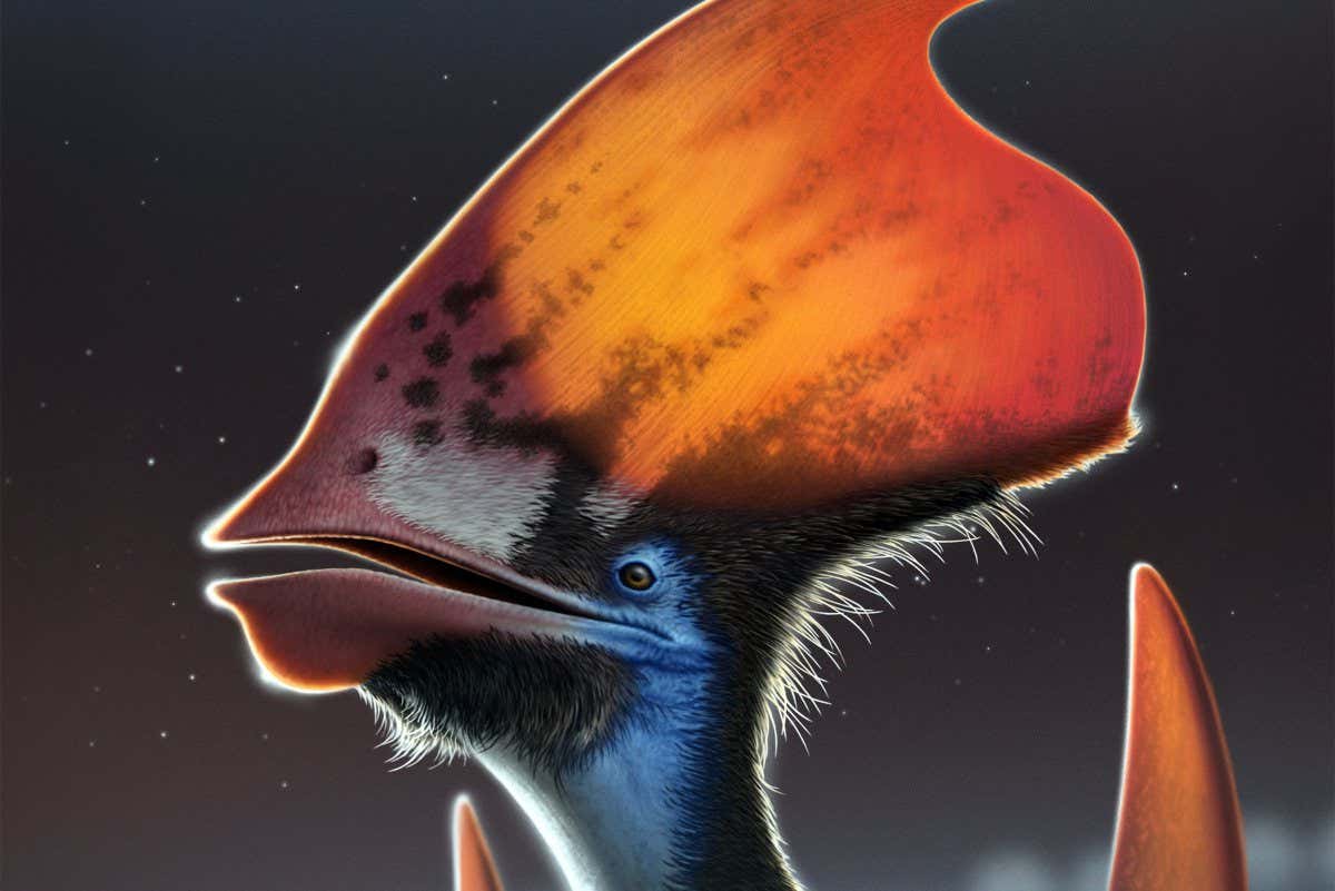 Tupandactylus full size ? Nicholls 2022: artist's reconstruction of the pterosaur.