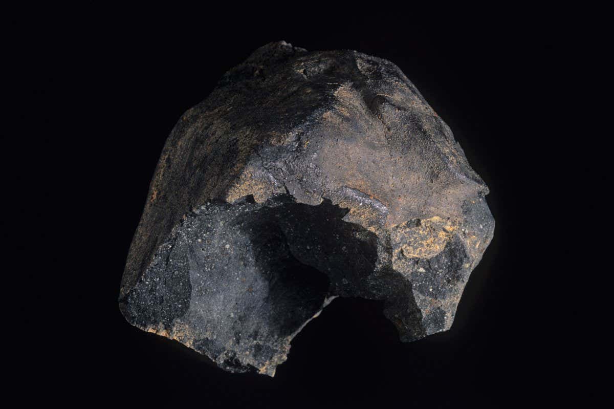 The Murchison meteorite