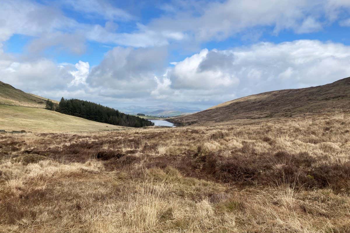 Fofanny Reservoir. The peat-covered uplands of the North of Ireland are today used mainly for commercial forestry, sheep-grazing and outdoor recreation, but were formerly wooded and farmed.