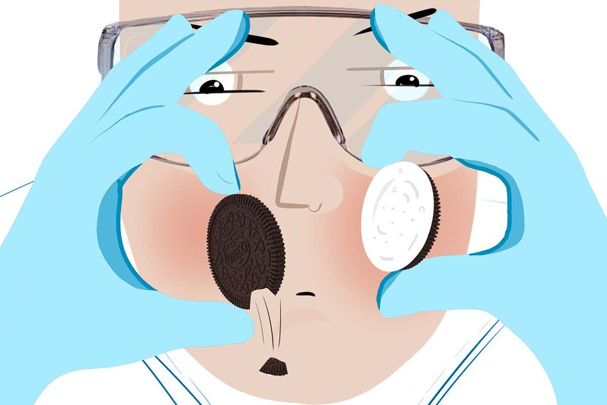 MIT investigates how the Oreo crumbles