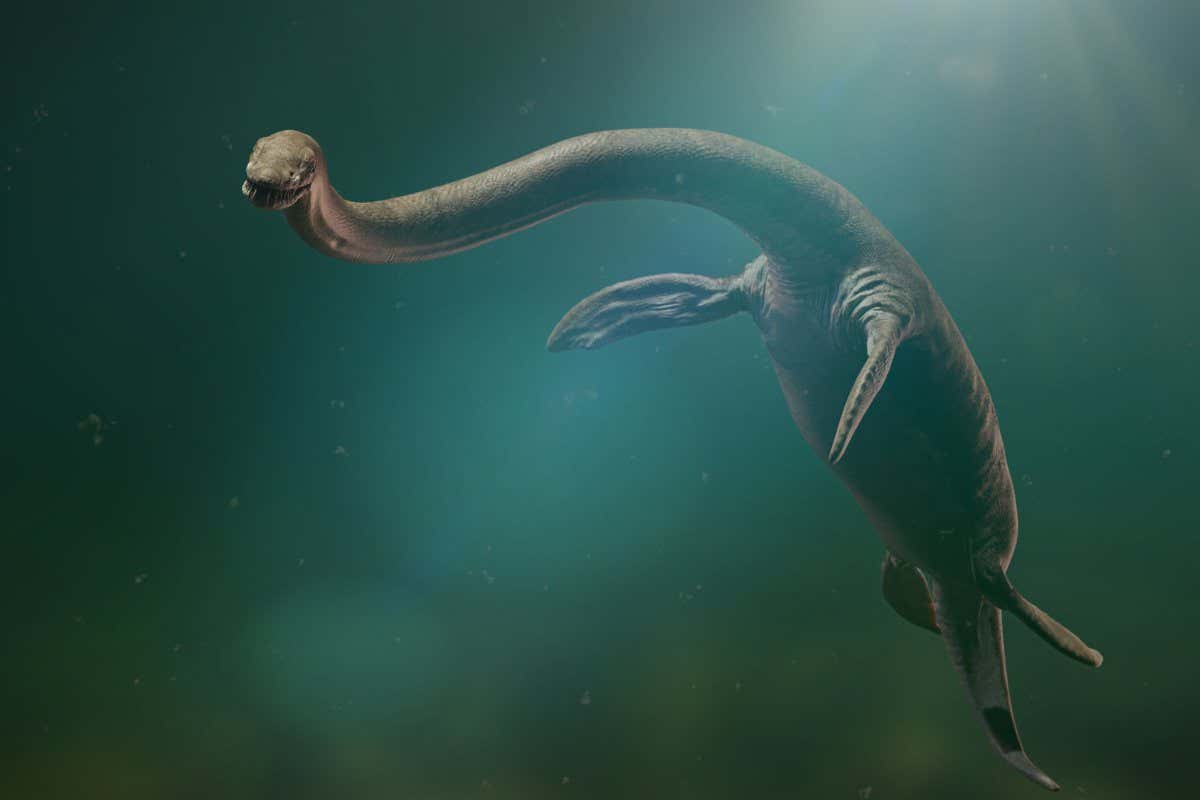 Plesiosaur