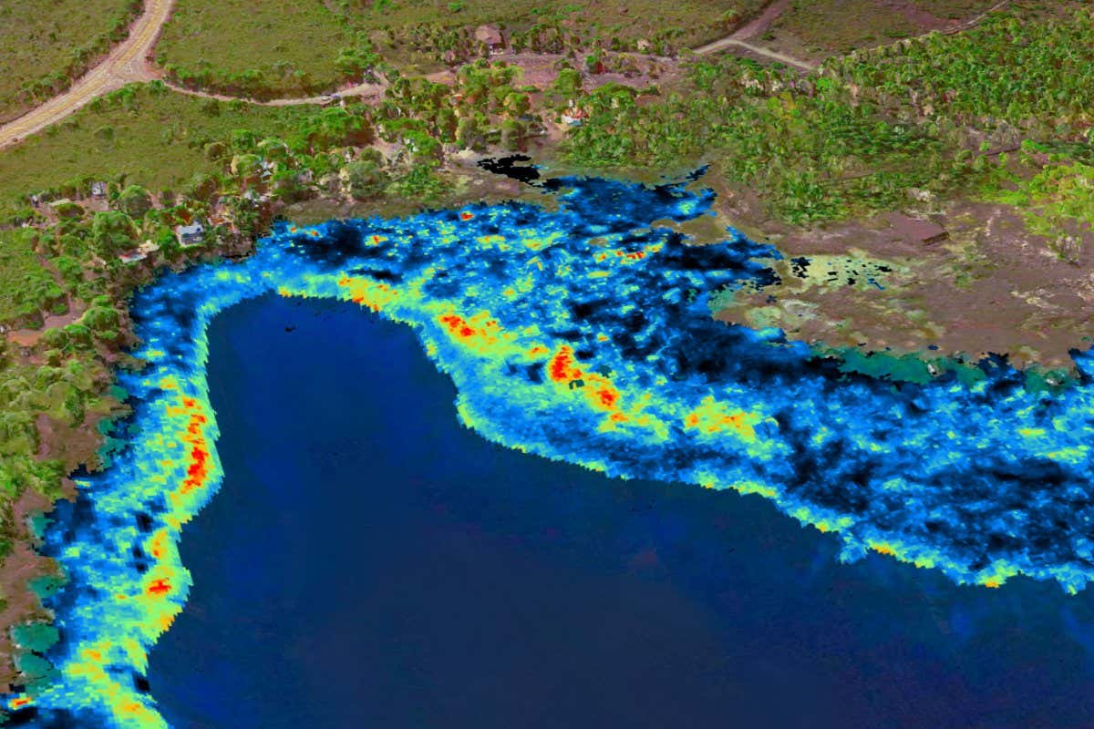 3D SPECTROSCOPY OF A CORAL REEF IN THE HAWAIIAN ISLANDS. BRIGHTER COLORS INDICATE LOCATIONS OF CORALS THAT DIED AFTER A BLEACHING EVENT