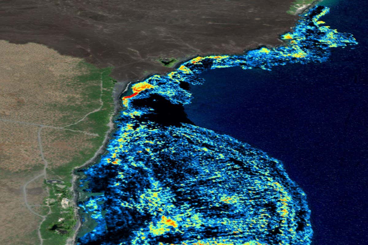 3D spectroscopy of a coral reef in the Hawaiian Islands. Brighter colors indicate locations of corals that died after a bleaching event.