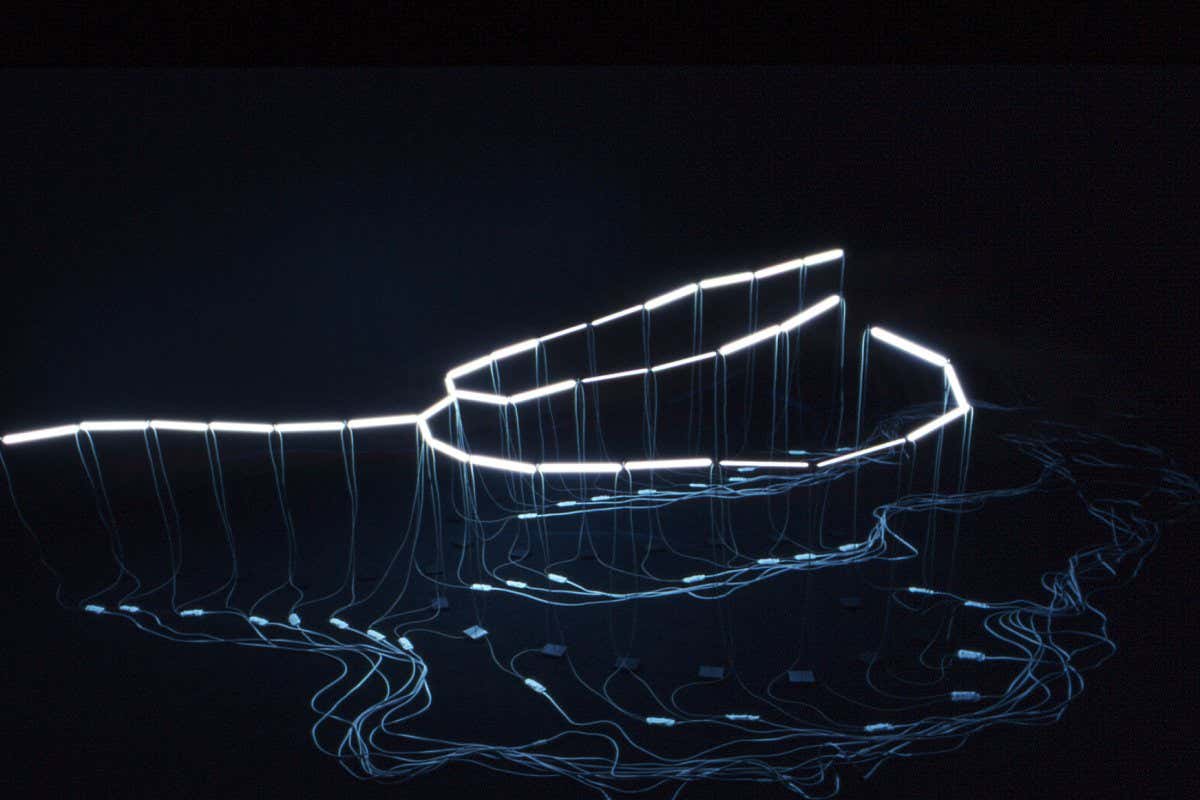 Nooksack, 2005, Claude Zervas, CCF (cold cathode fluorescent) lamps, wire, electronics, steel, 36 x 96 x 216 in. Gift of John and Shari Behnke, Rena Bransten, Carlos Garcia and James Harris, David Lewis, Kim Richter, Josef Vascovitz, Robin Wright, Dawn Zervas, and the Contemporary Arts Council, Seattle Art Museum in honor of Lisa Corrin, 2005.140 ? Claude Zervas