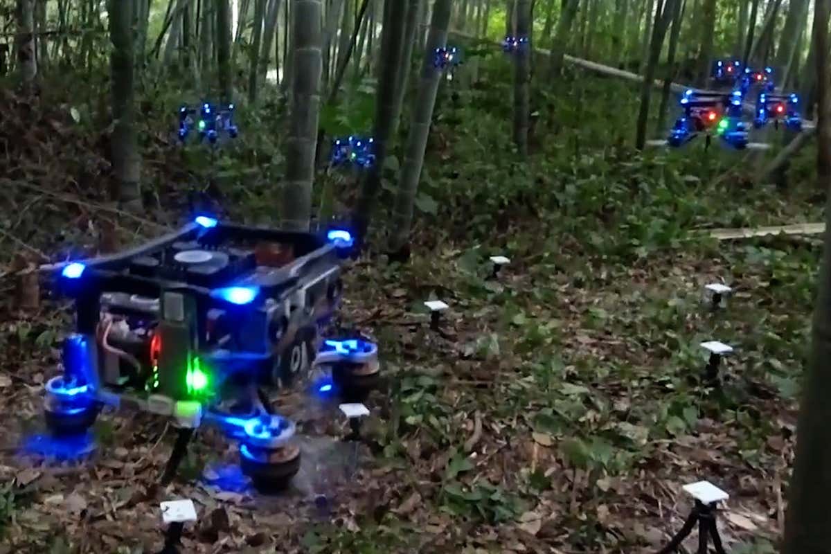 Drone swarm avoids crashing in dense forest using new algorithm