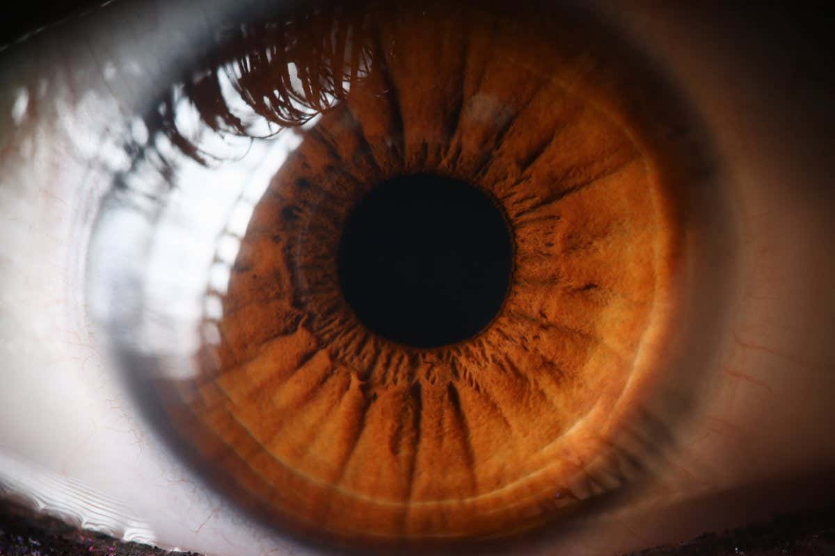 Close-up human eye