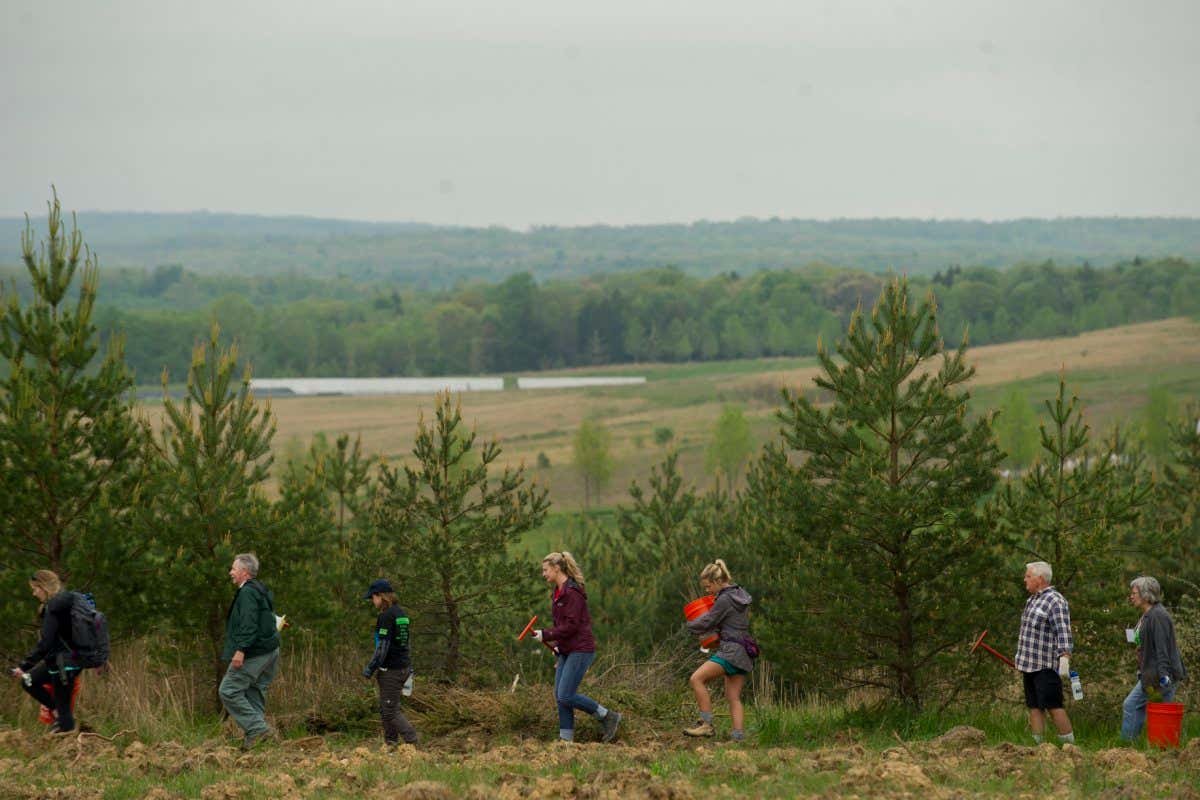 SHANKSVILLE, PA - MAY 20: For the 6th consecutive year ,volunteers plant trees in a field at the Flight 93 National Memorial as part of a re-forestation initiative in Shanksville, Pennsylvania on May 20, 2017. The volunteers added 11,600 new seedlings across 17 acres of reclaimed mining ground. (Photo by Jeff Swensen for The Washington Post via Getty Images)