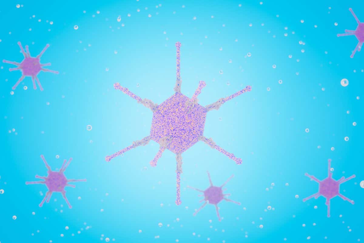 Adenovirus causes hepatitis in children subtype 41f Structure of the adenoviridae virion: penton base, nucleocapsid with DNA genome, capsomeres, proteins type F subtype 41 3d rendering; Shutterstock ID 2150066473; purchase_order: -; job: -; client: -; other: -