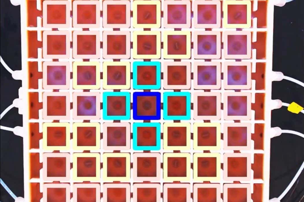 This computer uses chemical reactions rather than electronics to perform computations