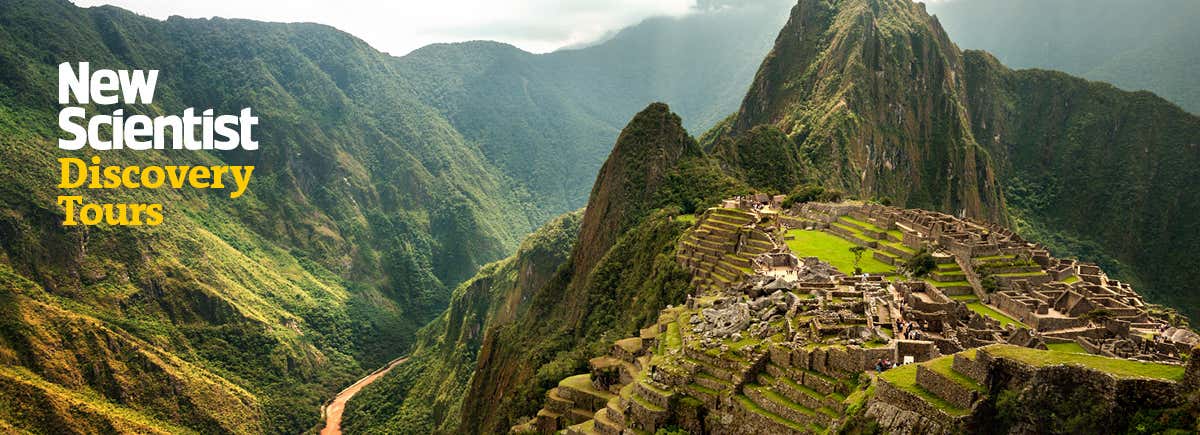 New Scientist. Science news and long reads from expert journalists, covering developments in science, technology, health and the environment on the website and the magazine.