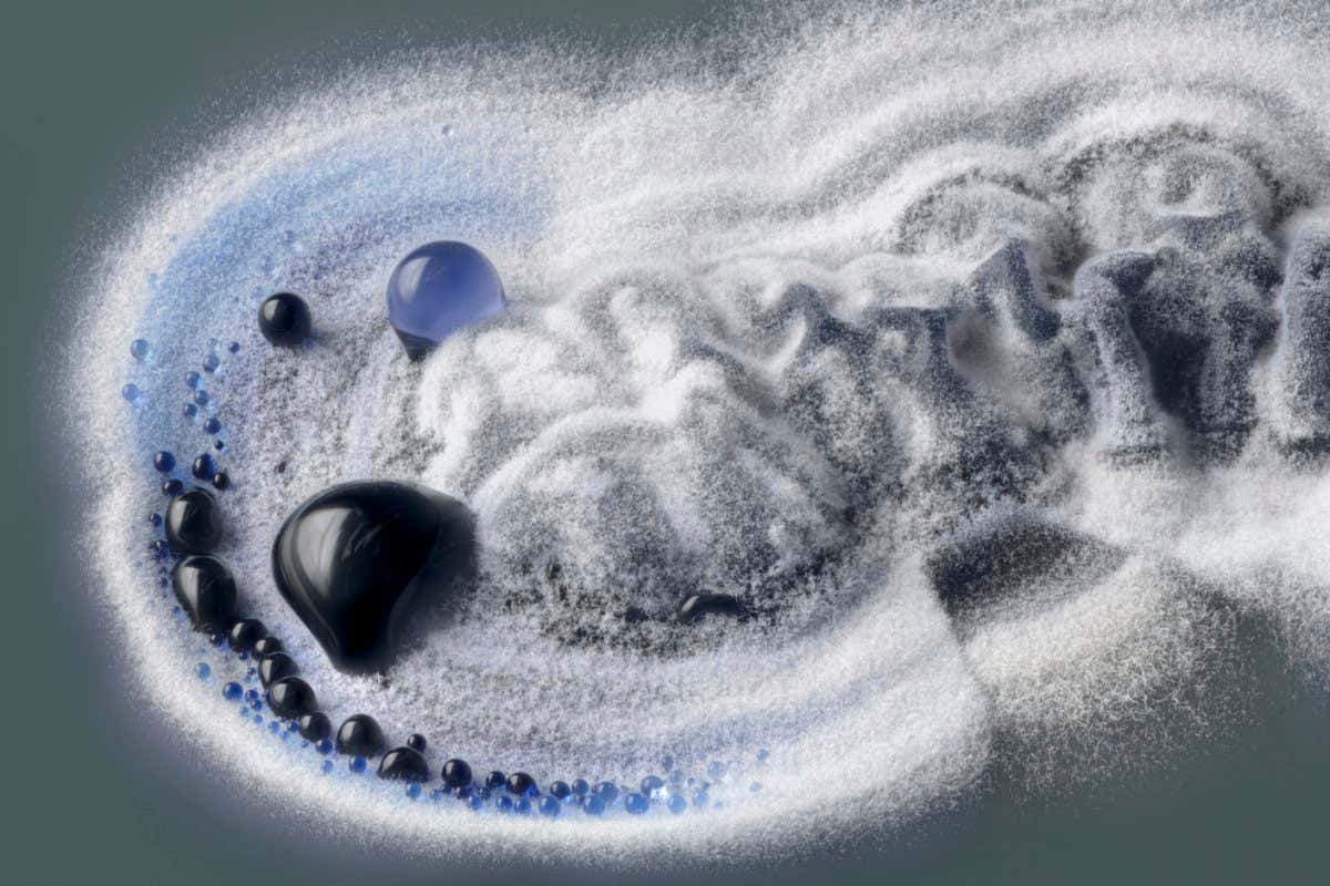 Colony of Streptomyces coelicolor