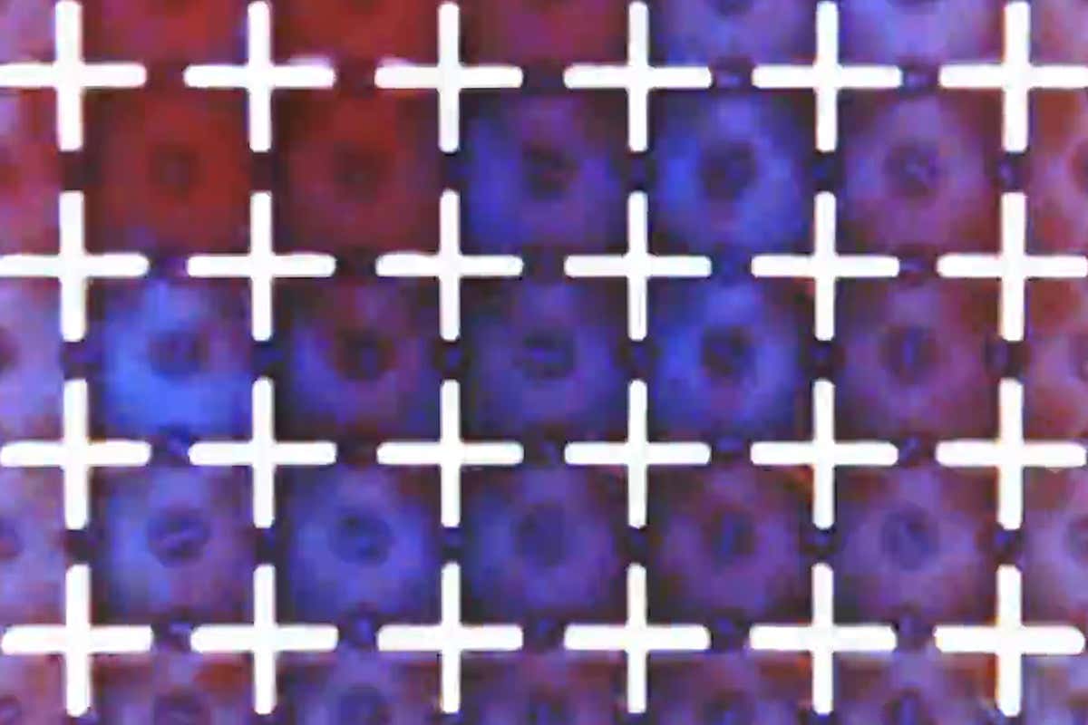 Chemical computer could be precursor for brain-computer interfaces