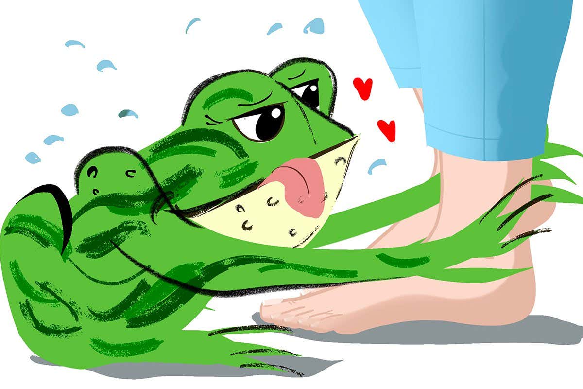 Evidence finally collated of toads mating with things they shouldn’t