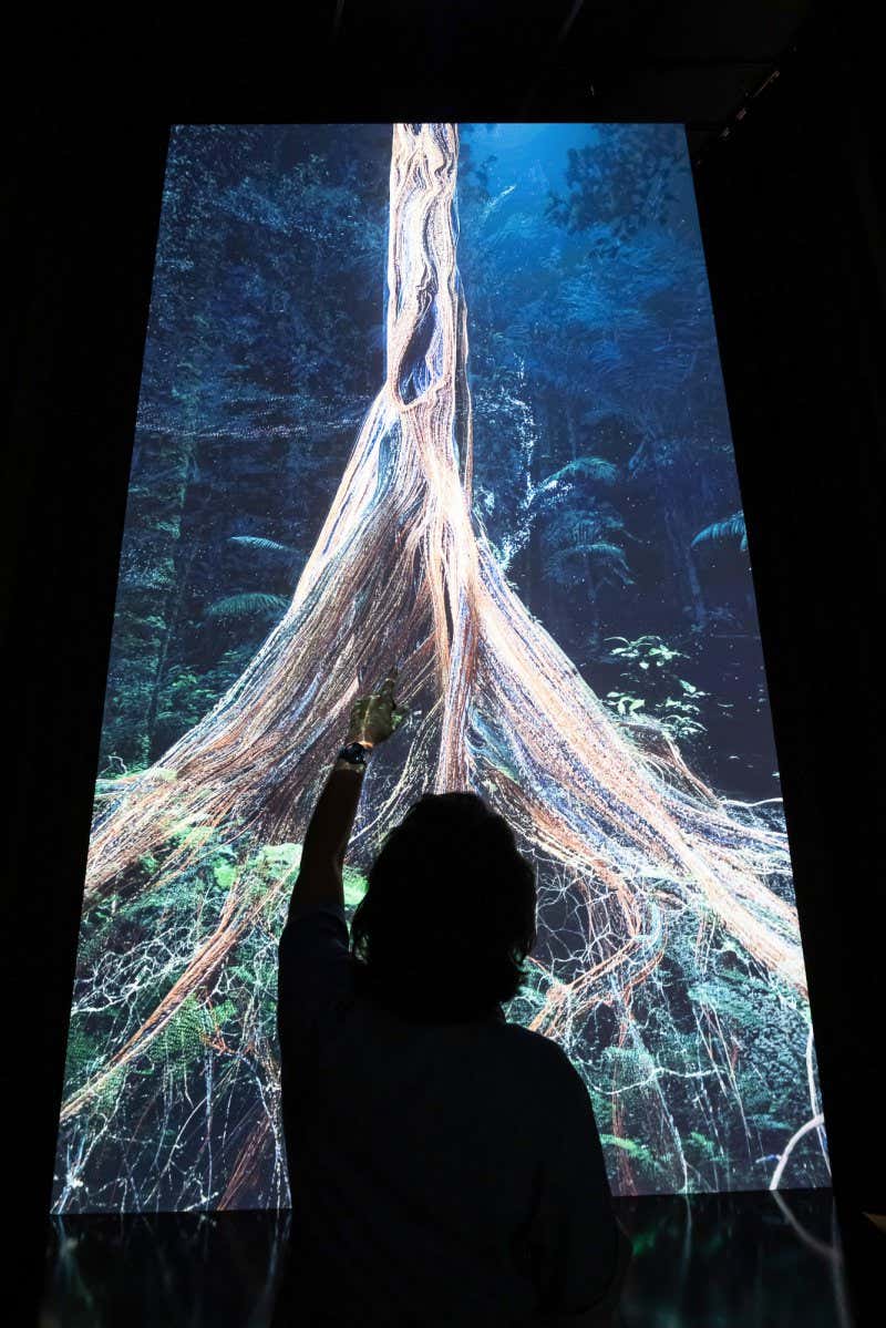 LONDON, ENGLAND - MAY 02: Invited guests during a preview of the 'Our Time On Earth' exhibition at The Curve, Barbican Centre on May 02, 2022 in London, England. The exhibition runs from 5th May 2022 to 29th Aug 2022. (Photo by Tim P. Whitby/Tim P. Whitby/Getty Images for Barbican Centre)