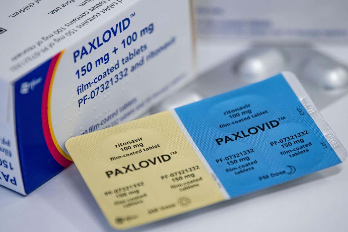 The Pfizer medicine Paxlovid can protect against severe covid-19 in vulnerable people