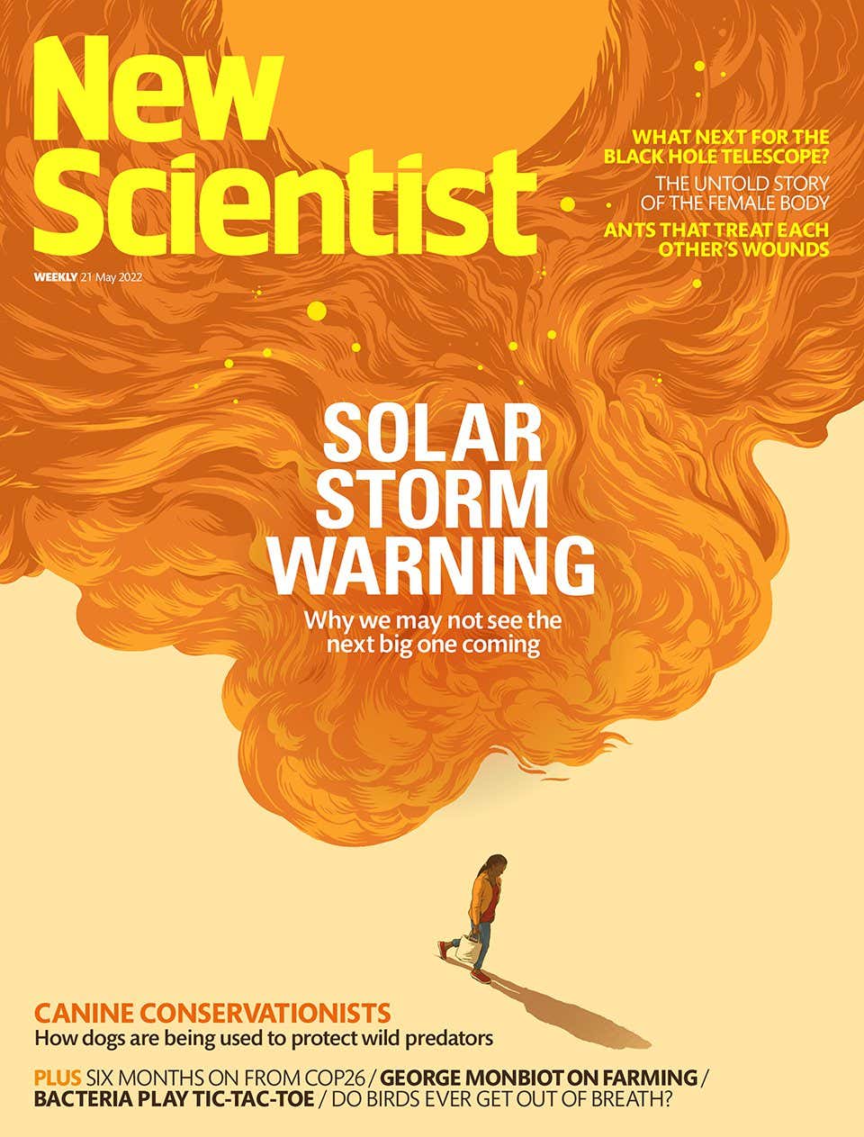 New Scientist issue 3387 cover