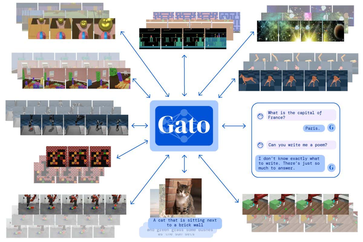 Gato
