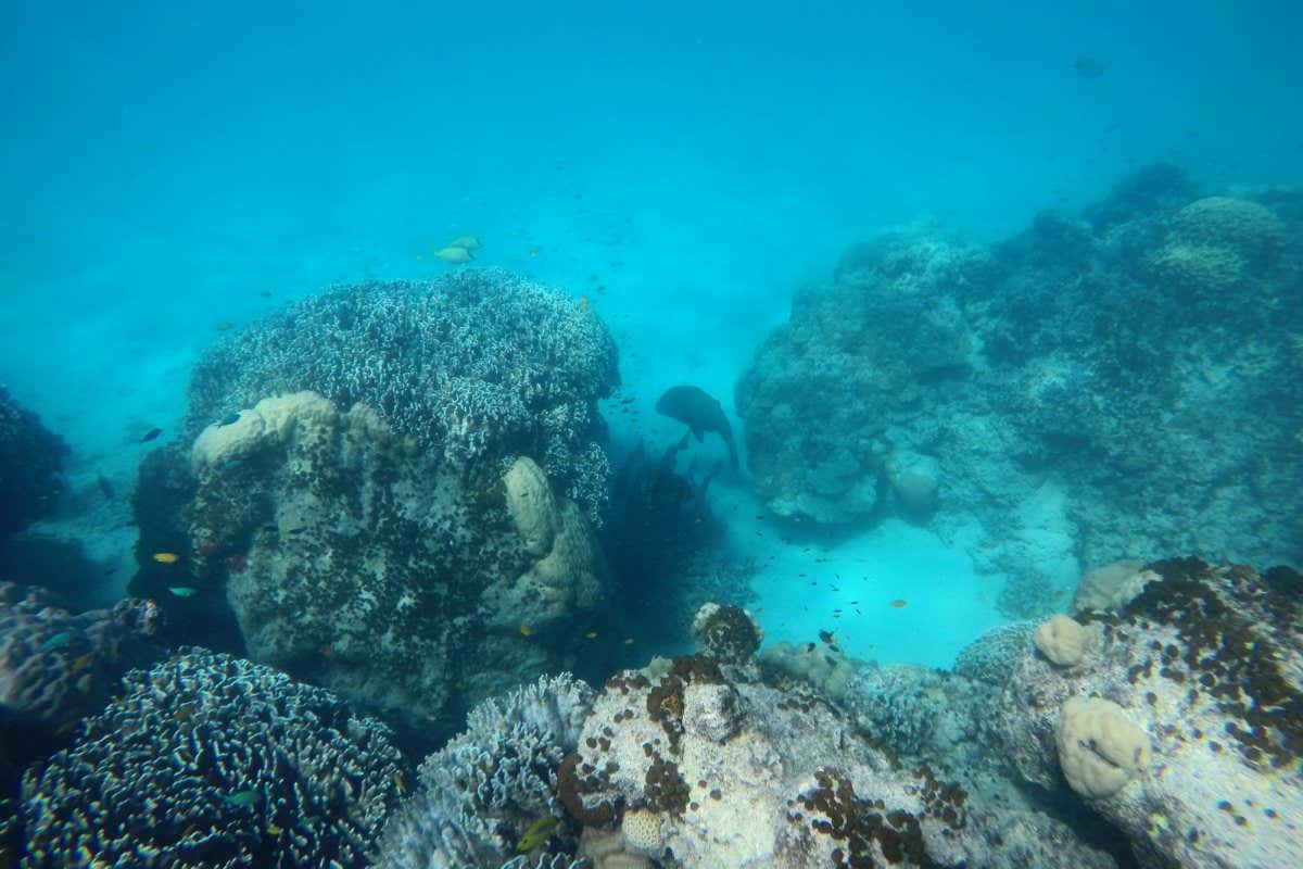 Example of one of the study sites