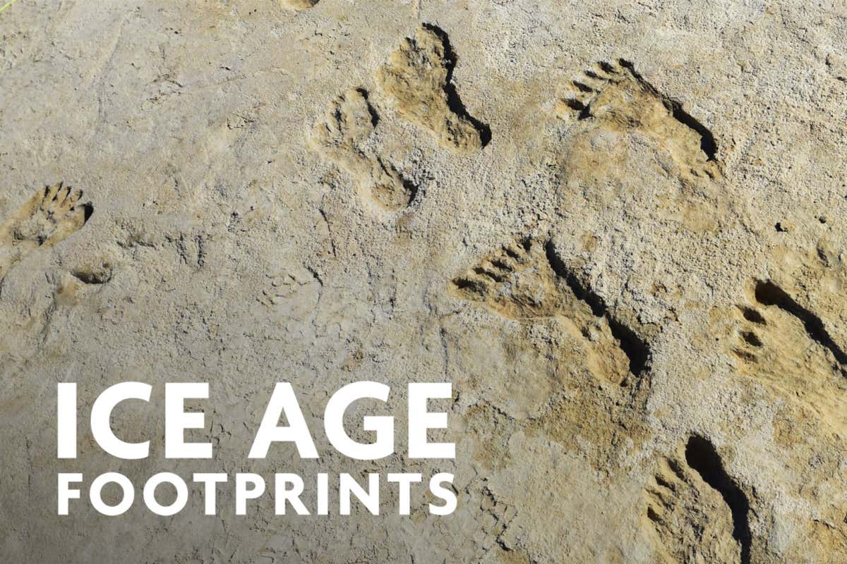 Ancient footprints in New Mexico’s White Sands National Park.