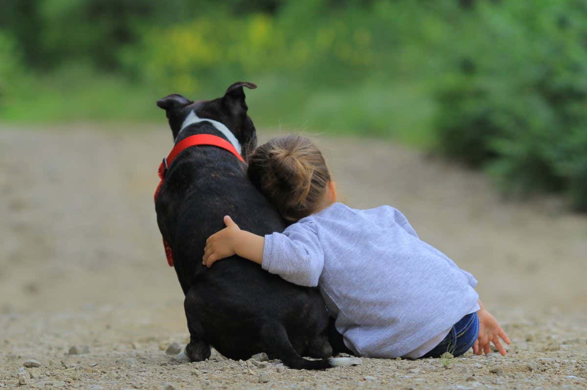child and dog; Shutterstock ID 439400266; purchase_order: -; job: -; client: -; other: -