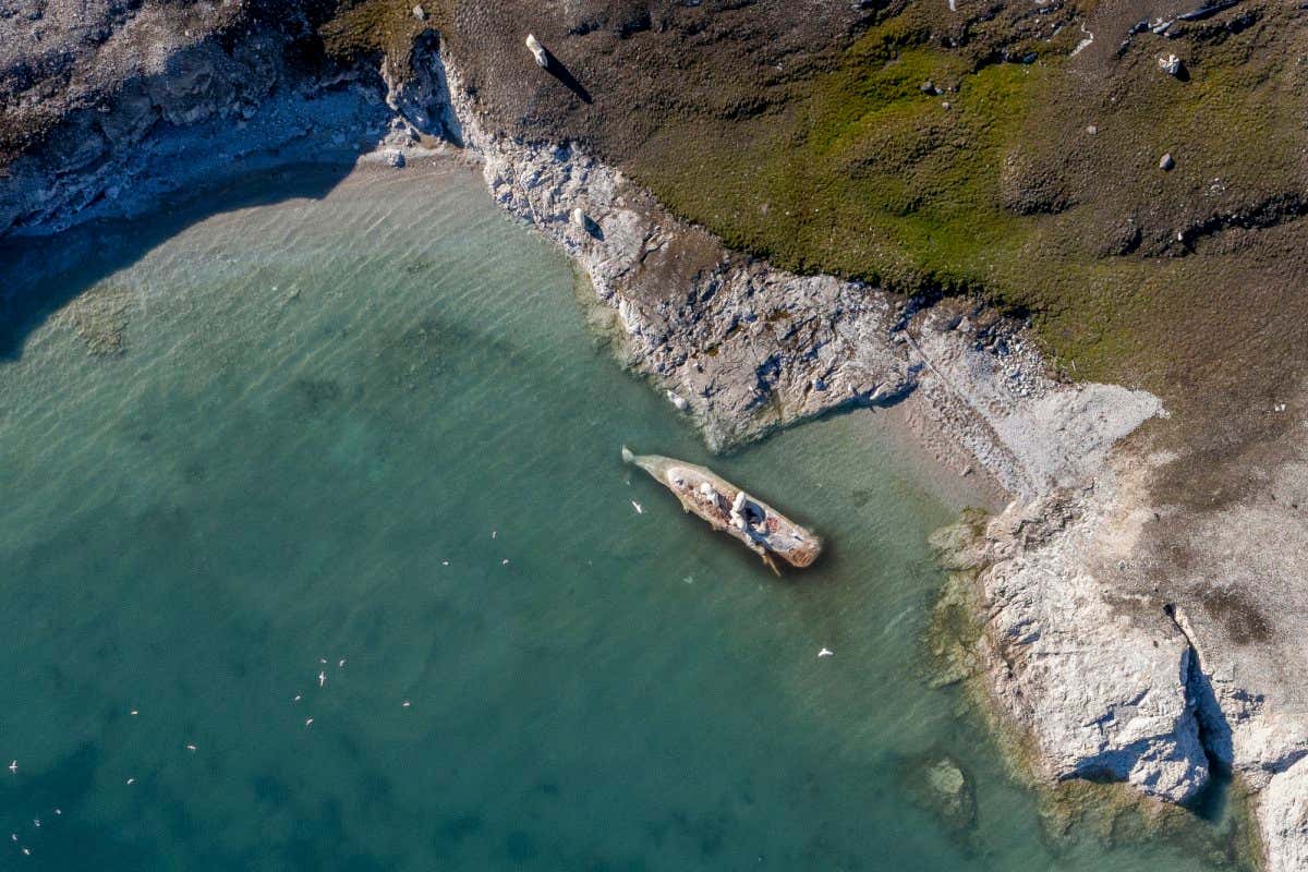 New Scientist. Science news and long reads from expert journalists, covering developments in science, technology, health and the environment on the website and the magazine.